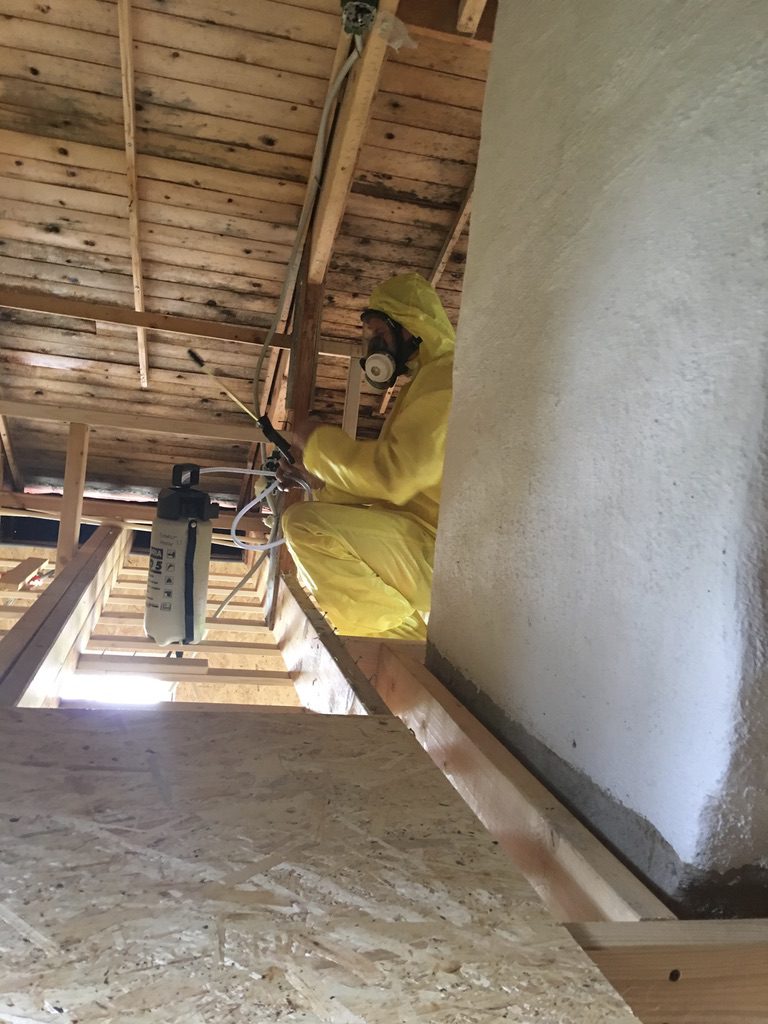 Mögelsanering-fuktskadecenter