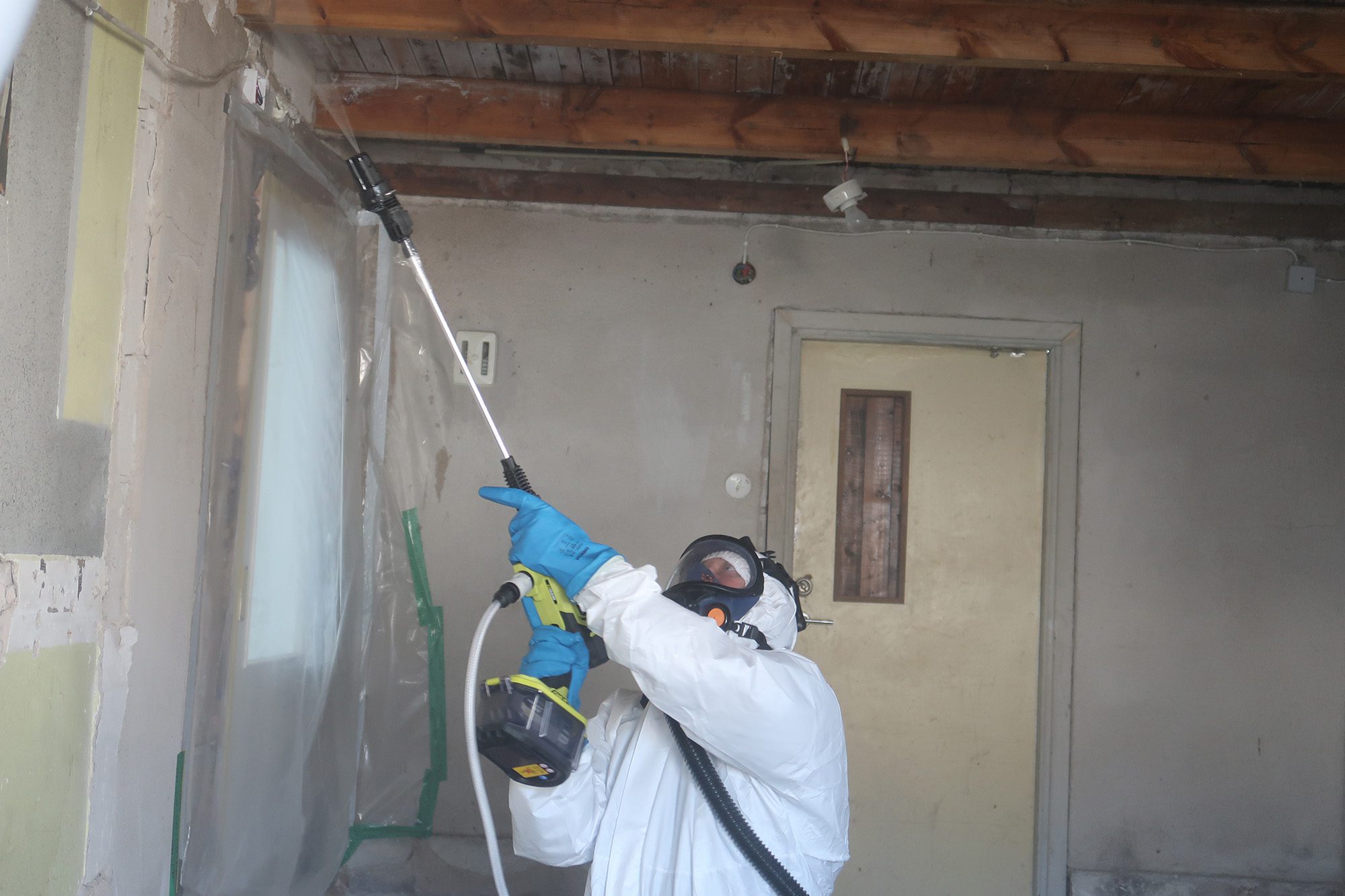 mögelsanering mögelsanering